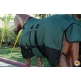 thumbnail image 5 of 75" Hilason 1200D Winter Waterproof Turnout Horse Blanket Belly Wrap Green, 5 of 8