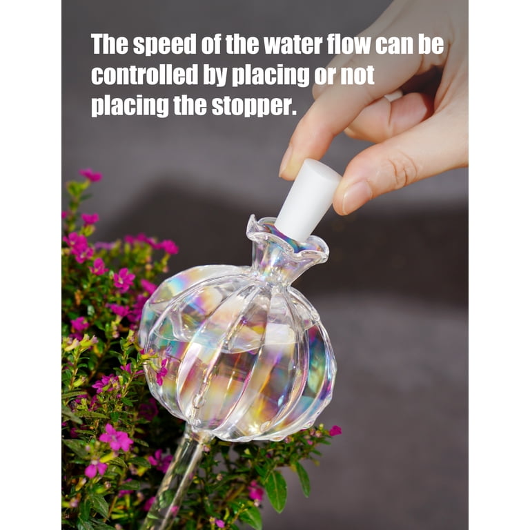 NiHome Glass Cactus Self-Watering Globes, 2-Pack photo 3