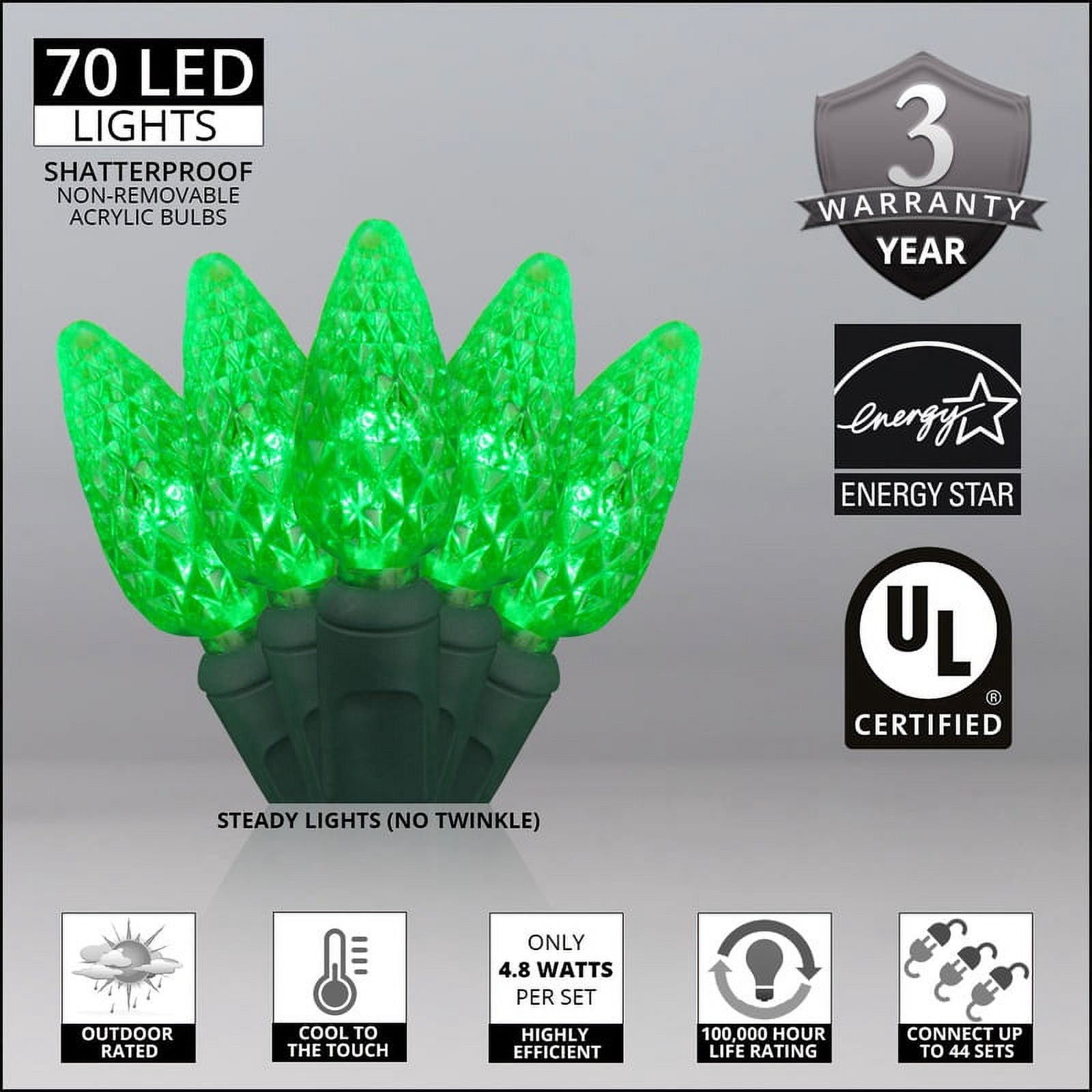 Wintergreen Lighting C6 Green Christmas Lights LED String Lights, Set of 70 Lights on Green Wire, 24 Ft - Indoor/Outdoor Lighting