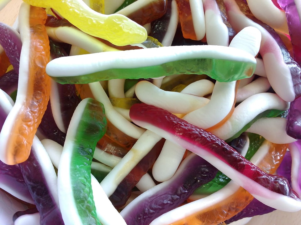 Candy Jelly Snakes Colorful Sugar Many Delicious12 Inch BY 18 Inch