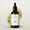 HerbEra Feverfew Tincture, Herbal Dietary Supplement for Nervous System Balance, Feverfew (Tanacetum parthenium) Dried Herb Extract, Natural, Alcohol Tincture, Drops 4 oz