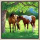 thumbnail image 3 of Pájaro caballo lienzo pintura por números aceite pintado a mano dibujo Kit decoración del hogar, 3 of 9