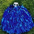 thumbnail image 5 of D-GROEE Cheerleading Pom Poms with Straight Handle, PET Pom Poms Hand Flowers Cheerleader Pompoms for Sports Cheers Ball Dance Fancy Dress Night Party, 5 of 6