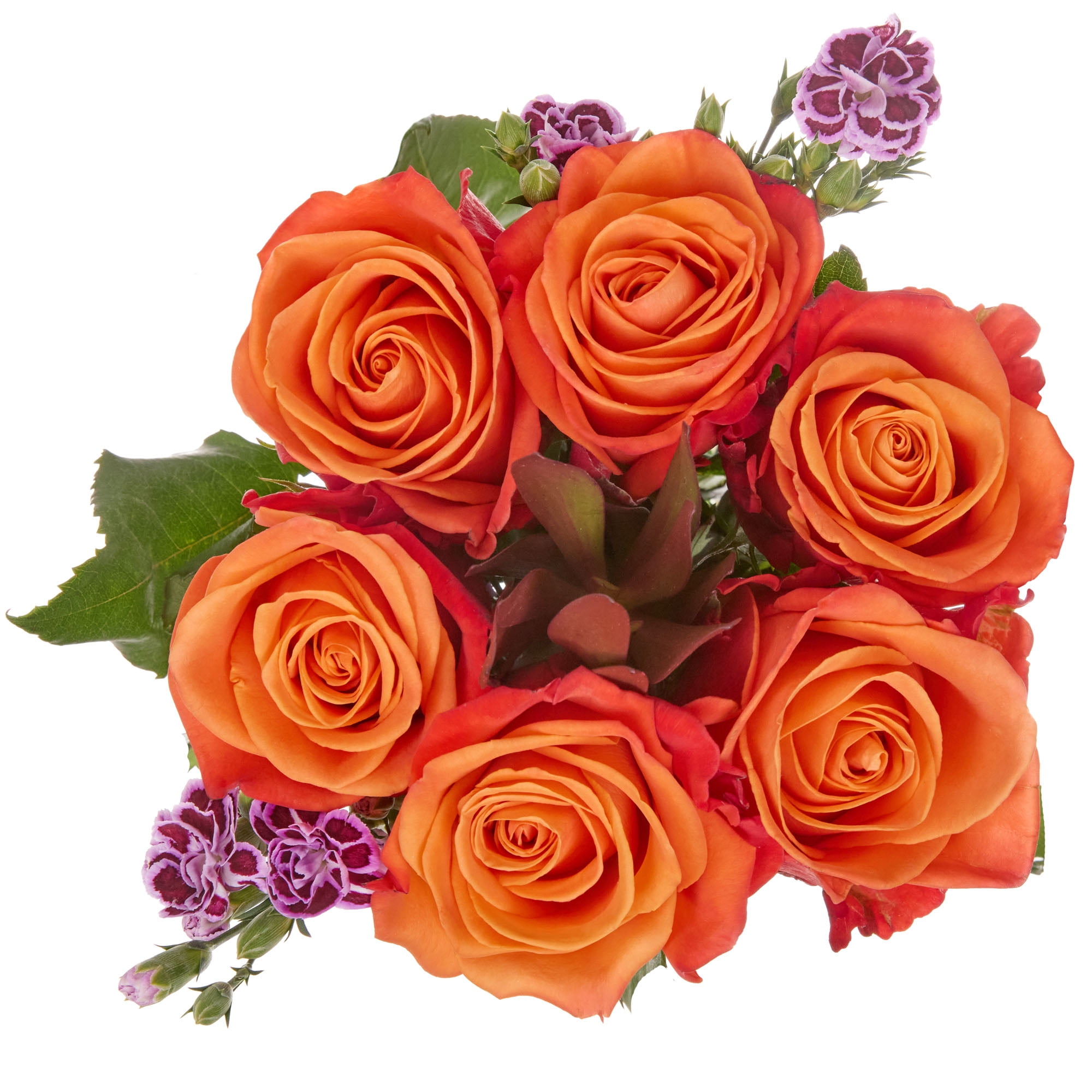 Rose Plus Flower Bouquet 6 Stem, Colors May Vary