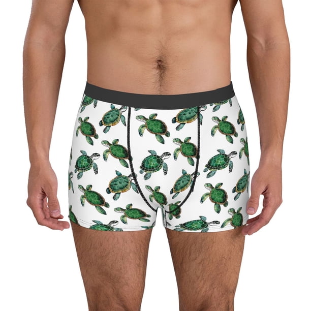 Balery Watercolor Turtle Calzoncillos bóxer para hombre, ropa interior de algodón suave y transpirable con cinturilla de nailon-Large
