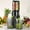 Black, variant on Fanruina Cold Press Juicer Masticating Juicer with Wide Feed Chute 350W Slow Juicer Ideal for Whole Fruits And Vegetables High Juice Yield