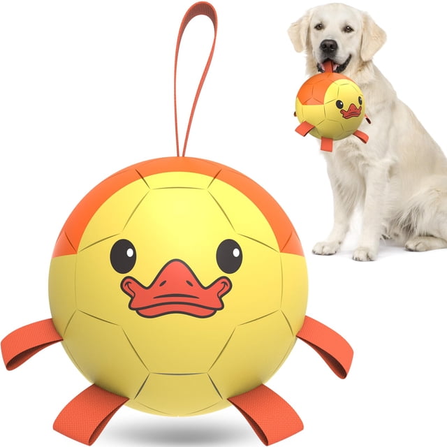 Balón de fútbol para perros QDAN Duck para cumpleaños de cachorros de tira y afloja