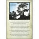 thumbnail image 1 of Dicksons Inc Si pudieras verme ahora de John Michael, 1 of 1