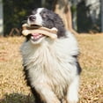 thumbnail image 4 of Hueso masticable para perros, juguete de hueso duradero para masticadores agresivos, con sabor a carne de res, juguete interactivo para perros pequeños, medianos y grandes., 4 of 8