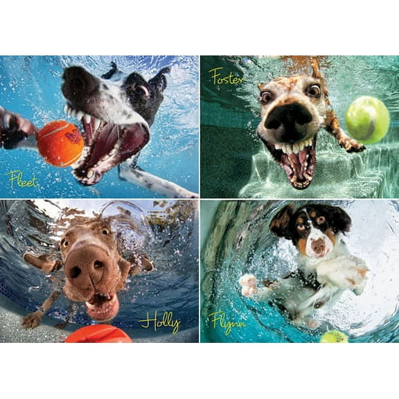 Willow Creek Press Underwater Dogs: Play Ball 1000-Piece Puzzle