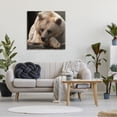 thumbnail image 3 of Stupell Industries Brown Bear Forest Wildlife Animals & Insects Photography Gallery Wrapped Canvas Print Wall Art, 3 of 5