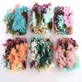 thumbnail image 1 of 1 Box Dried Flower Material Photo Frame Dry Flower Dried Ornament Wedding Home Decor DIY Handmade Crafts Dry Flower Making Color Random, 1 of 7