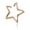 Gold, variant on 1pcs Minimalist Hollow Star Shaped Silver Non-piercing Ear Bone Clips Vintage-Silver