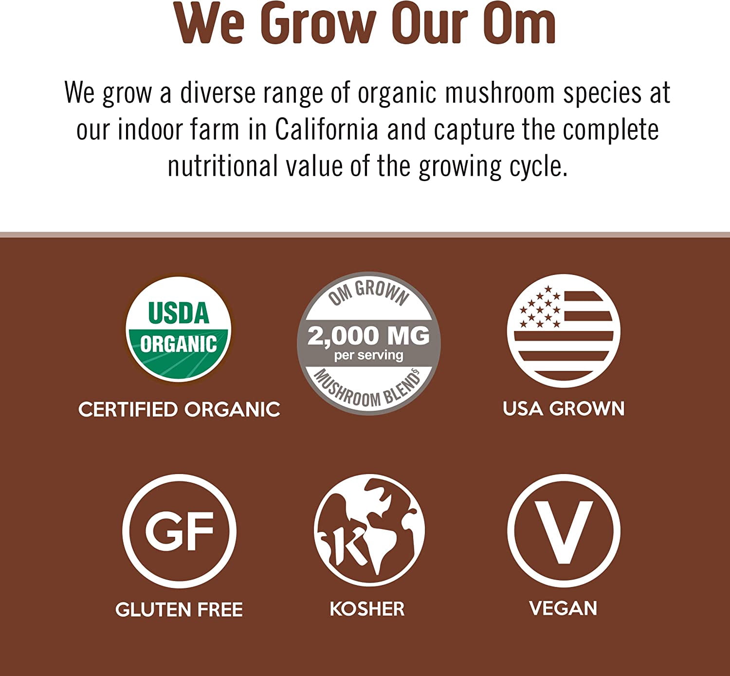 Om - Coffee Mushroom Blend - Case Of 10-.20 Oz
