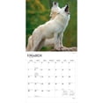 thumbnail image 3 of Wolves | 2027 12x24" (Hanging) Wall Calendar | Plastic-Free | BrownTrout, 3 of 9