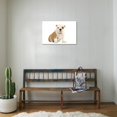 thumbnail image 3 of English Bulldog, Animals World Culture Unframed Photographic Print Wall Art Sold by Art.Com, 3 of 4