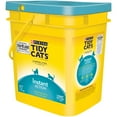 Purina Tidy Cats Instant Action Clumping Cat Litter, 27lb