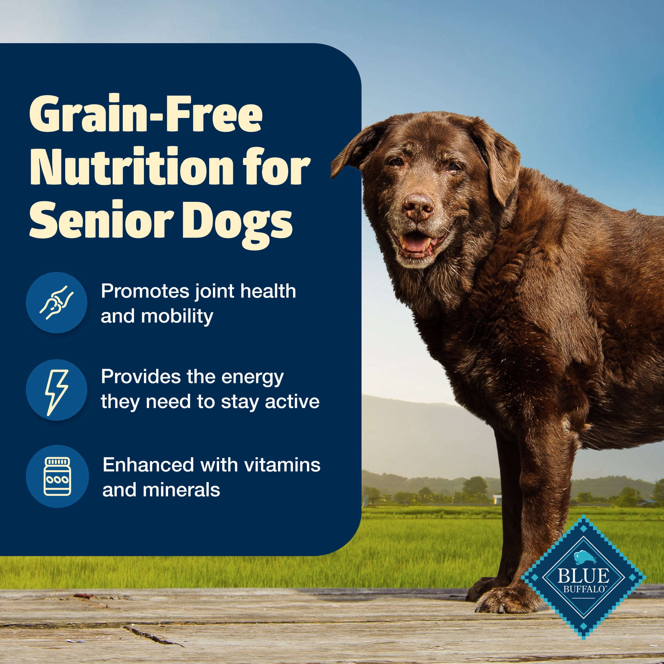 Blue Buffalo Freedom Grain-Free Senior Dry Dog Food, Chicken & Potatoes, 24-lb Bag