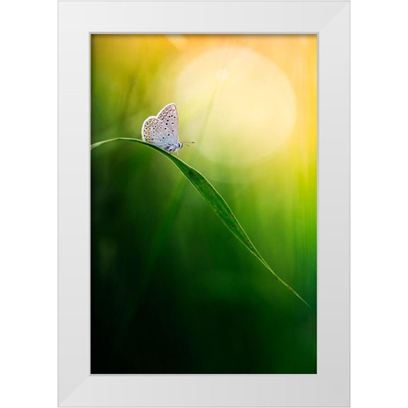 Daalder, Bob 11x14 White Modern Wood Framed Museum Art Print Titled - Wisdom