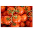 thumbnail image 1 of Picture-Tiles.com: Fruit Ceramic Tile Wall Mural WAL500678-64S. 25.5"W x 17"H using (24) 4.25" x 4.25" Ceramic Tiles-Satin Finish, 1 of 3