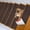 Brown, variant on 8" X 30" (15 in Pack) Non-Slip Carpet Stair Treads Non-Skid Safety Rug Slip Resistant Indoor Runner for Kids Elders & Pets w/Reusable Adhesive Red Anti-Slip Stair Strips - Washable Stair Tre
