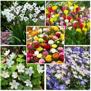 TOUCH OF ECO Bee & Butterfly Blooming Collection - 100 Bulbs Featuring 5 Varieties of Pink, Yellow, Red, White Flowers- Attracts Pollinators to the Garden