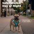 thumbnail image 5 of Voyager Step-in Air Dog Harness - All Weather Mesh Step in Vest Harness for Small and Medium Dogs and Cats - Harness (Turquoise 2-Tone), L (Chest: 18-20.5"), 5 of 8