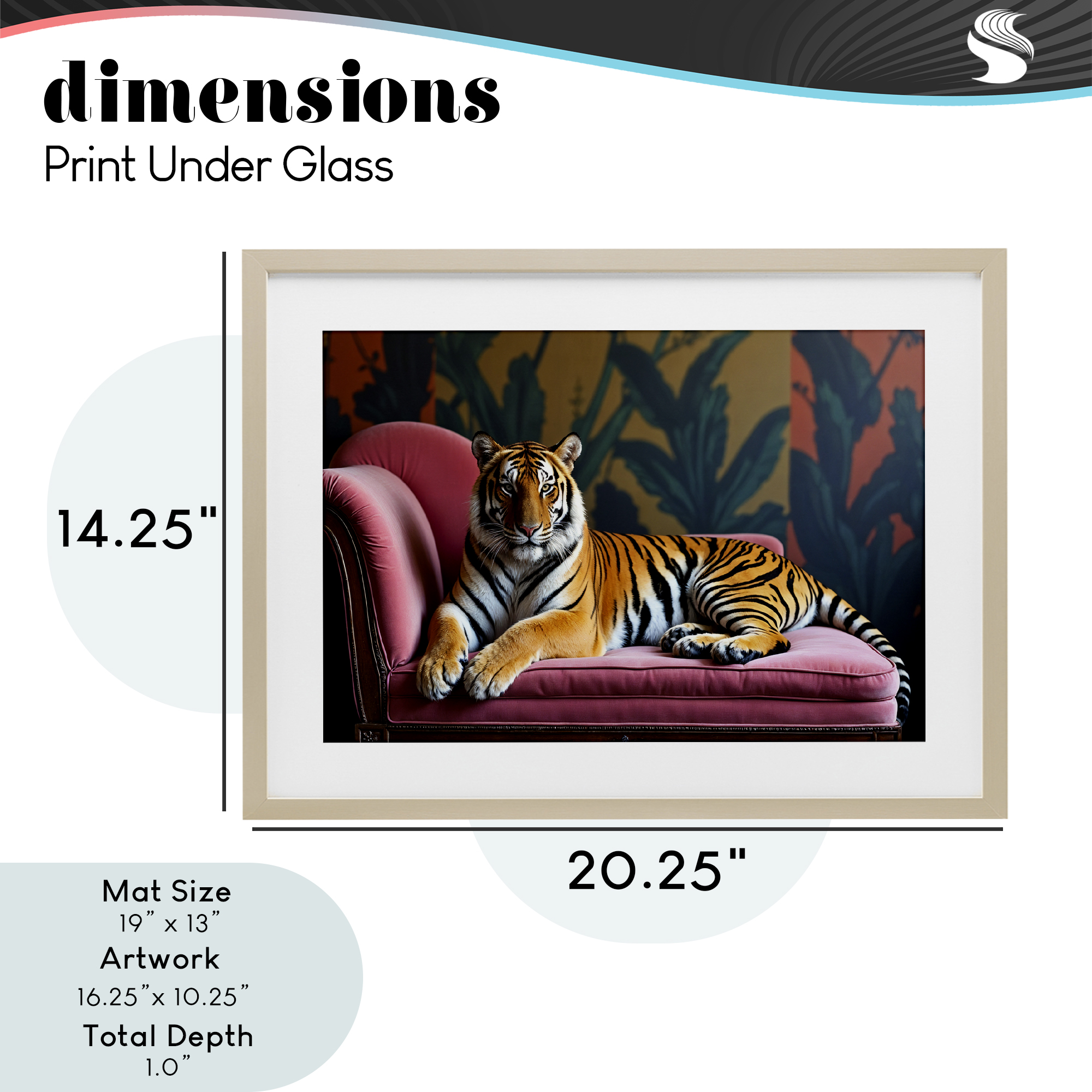 Exotic Tiger Lounging Birch Framed Print Under Glass, design by Lettered and Lined