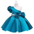 thumbnail image 5 of Girls Dress Sleeveless Fashion Dress Princess Tutu Skirt Gift, 5 of 5