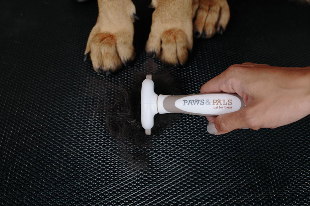 paws and pals deshedding tool