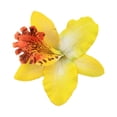 thumbnail image 6 of SSKFHGI Multicolored Women Big Chiffon Orchid Flower Bohemian Hair B1X0 Cl Flowers, 6 of 9