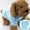 Blue, variant on Spring Easter Themed Striped Dog T-Shirt, Soft Pet Apparel Costume for Small to Medium Puppy
