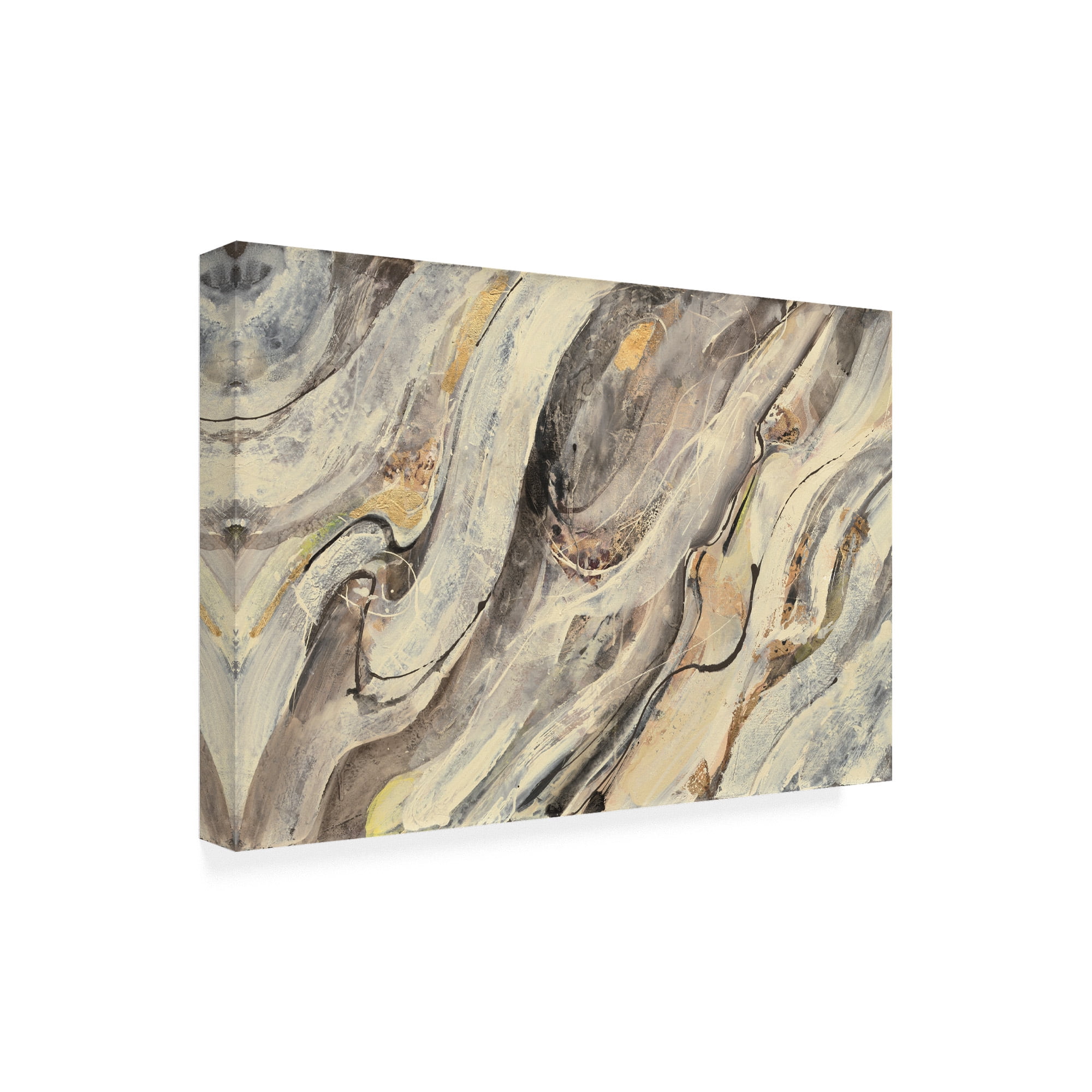 Trademark Fine Art 'Golden Falls Paint' Canvas Art by Albena Hristova