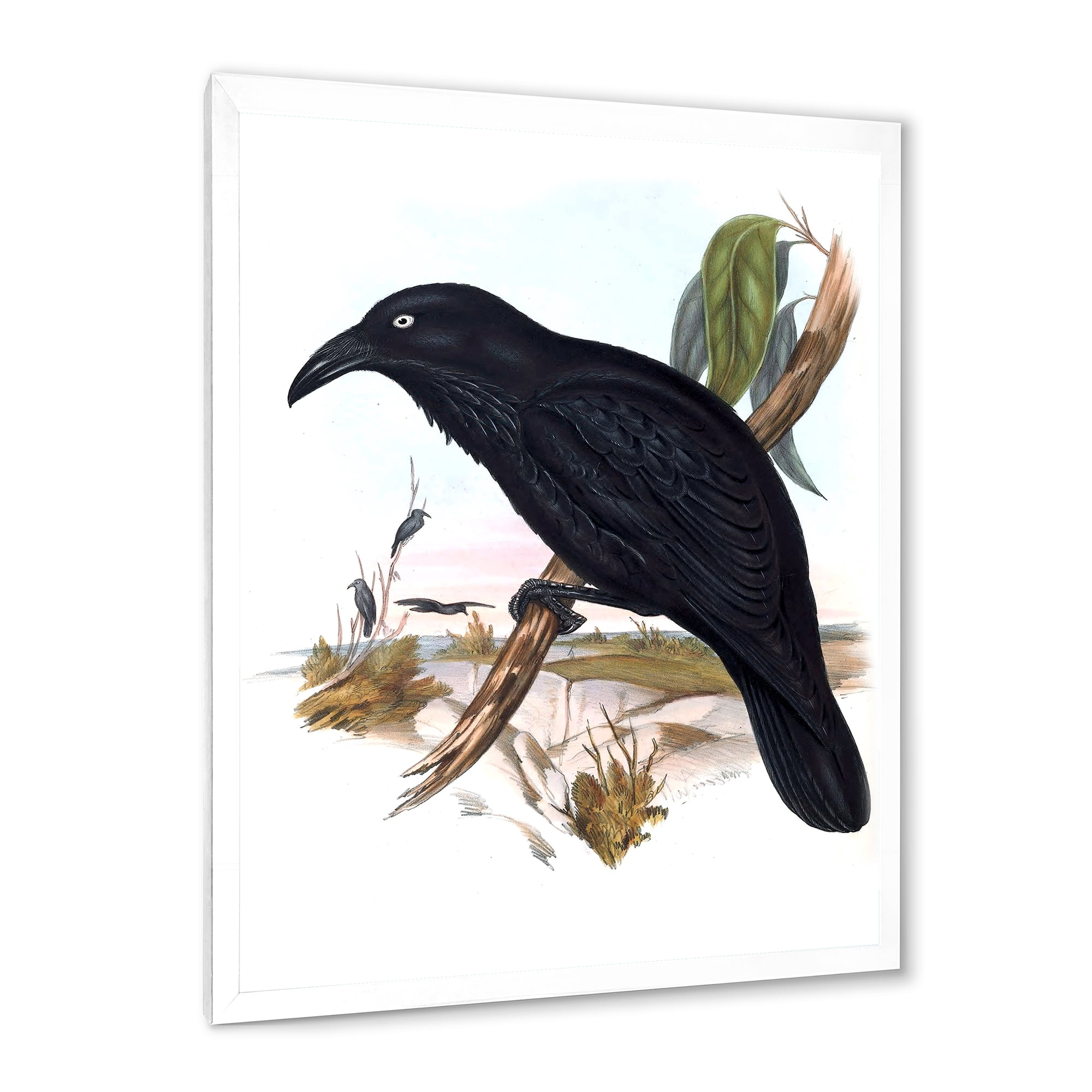 Designart 'Ancient Australian Birds VI' Traditional Framed Art Print