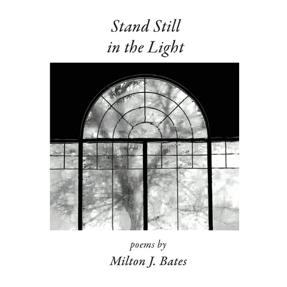 Stand Still in the Light (Paperback)
