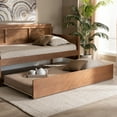thumbnail image 1 of Skyline Decor Toveli Modern and Contemporary Ash Walnut Finished Twin Size Trundle Bed, 1 of 6