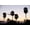 Unframed, variant on Art.com Silhouette of Palm Trees at Dusk, Palm Springs, Riverside County, California, USA Photographic Print, 18" x 12"