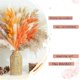 thumbnail image 5 of Decoración de otoño Pampas Grass 100 Uds ramo decoración del hogar flores secas de larga duración ramo Reed Rabbit Ta, 5 of 5