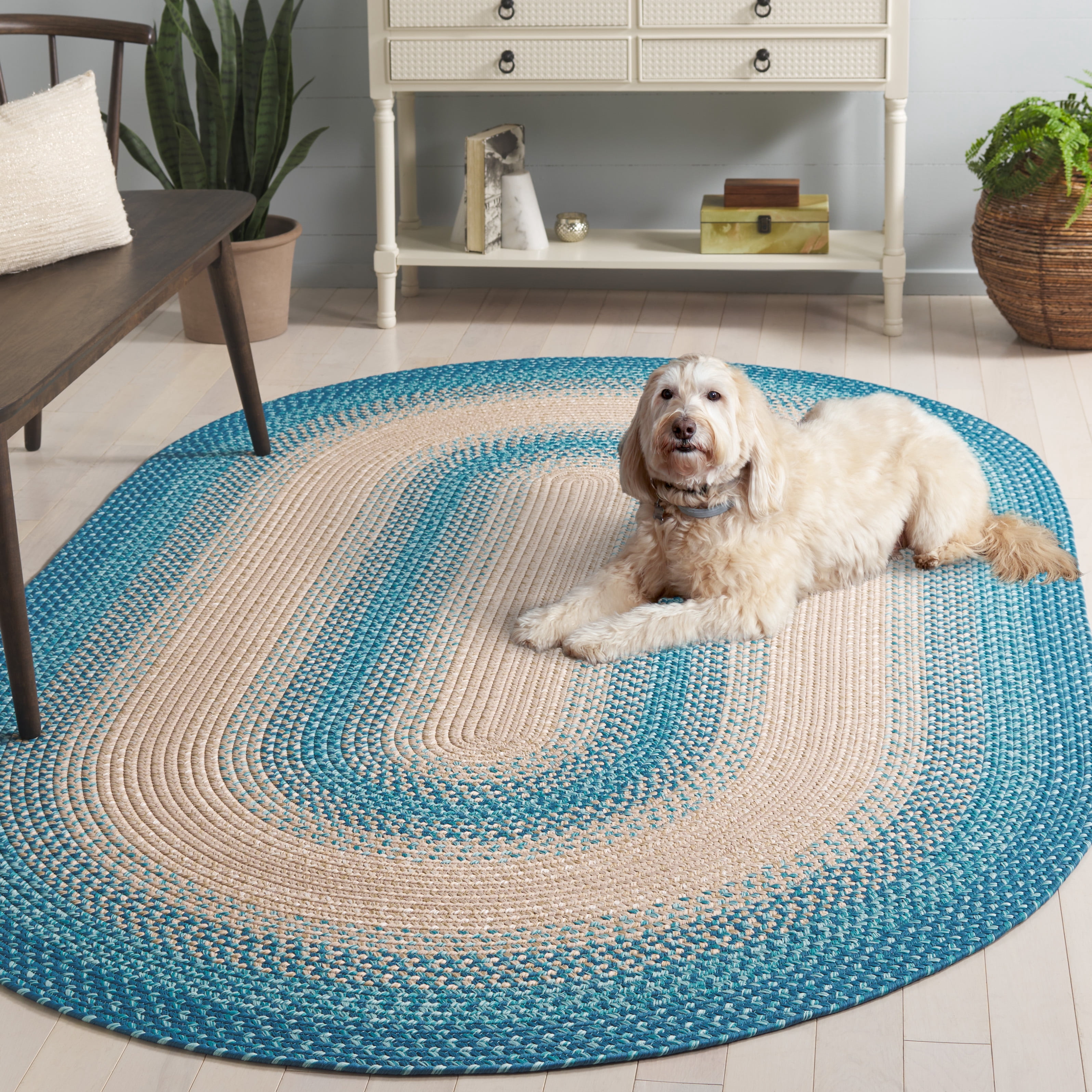 SAFAVIEH Braided Neville Bordered Machine Washable Reversible Area Rug, Blue/Beige, 4' x 6' Oval