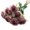 C, variant on Bwiyojiz Office Decor Artificial Plants & Flowers 7 Head Rose Simulation European-style Antique Burnt Edges Living Room Table Decoration Wedding Bouquet, Gifts for Women, Multicolor