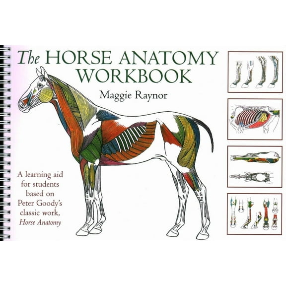 The Horse Anatomy Workbook: A Learning Aid for Students Based on Peter Goody's Classic Work, Horse Anatomy, (Spiral-Bound)