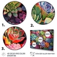 thumbnail image 3 of Designart "Abundant Succulents Colorful Delights" Floral Floater Framed Wall Decor, 3 of 7