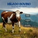 thumbnail image 5 of Hígado Vacuno | 1400 mg Por Porción | 180 Cápsulas | Vacas De Pastoreo De Nueva Zelanda | Beef Liver Grassfed | B Life., 5 of 5