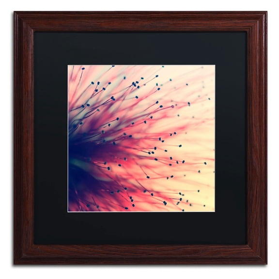 Trademark Fine Art "Into the Future" Canvas Art by Beata Czyzowska Young, Black Matte, Wood Frame