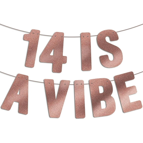Pre Strung - 14 is a Vibe - Rose Gold Glitter Banner, 14th Birthday Decorations for Girls, 14 Year Old Decor Gifts Sign