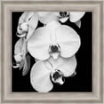 thumbnail image 1 of Great Art Now Orchid Portrait I by Jeff Maihara, Framed Wall Art, 20W x 20H, 1 of 3