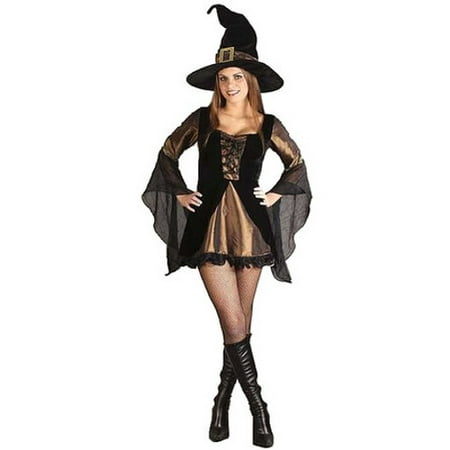 Adult Sexy Velour Witch Costume