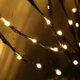 thumbnail image 2 of Lámpara LED de rama, 20 LED, ramas decorativas, lámpara LED blanca cálida, funciona con pilas, luces decorativas para decoración del hogar (paquete de 2, blanco cálido), 2 of 4