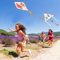 thumbnail image 6 of 6PCS Kid's Kite Triangle Diamond Blank Paint DIY Flying Kite with Reel and Line, 6 of 8