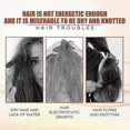 thumbnail image 2 of Jojoba Hair Care Oil Repairs Dry Hair, Smoothes Frizz, Damages Smooth Hair, 2 of 5